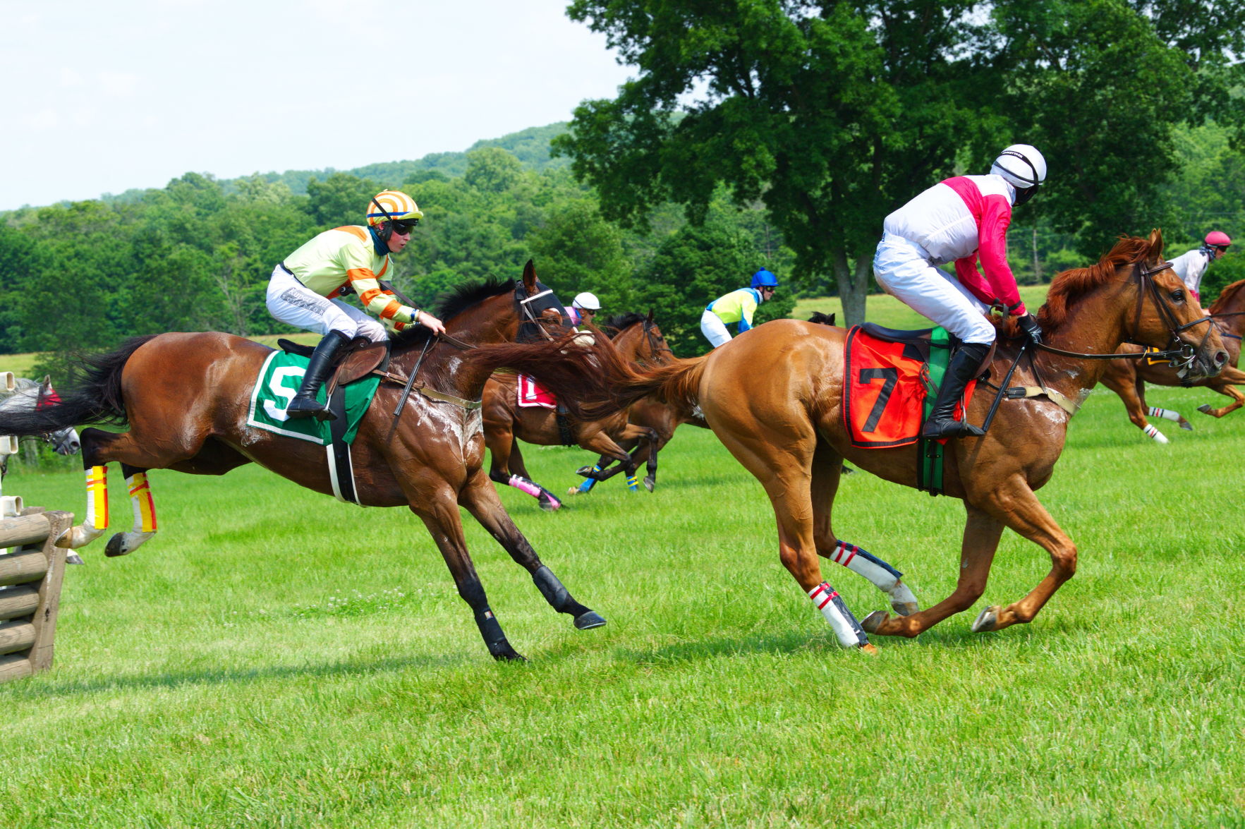 photo_ft_horse_mistake 2_070120.jpg